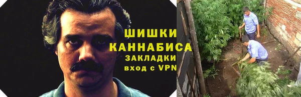 прущие грибы Кулебаки