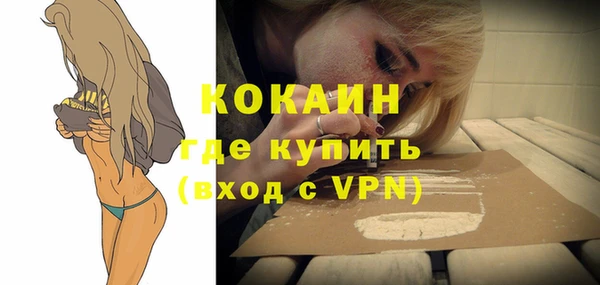 прущие грибы Кулебаки