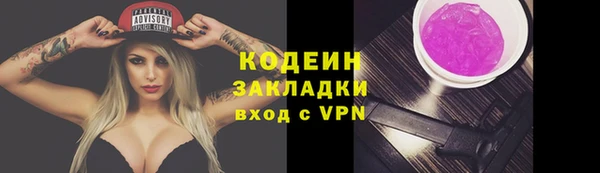 прущие грибы Кулебаки