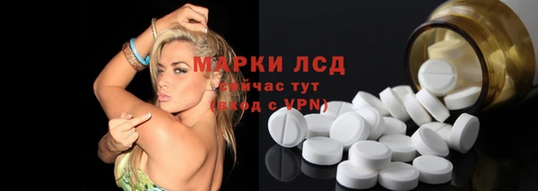 прущие грибы Кулебаки